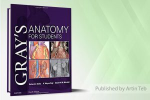 Gray’s Anatomy for Students 4th Edition2024 دوره ۳جلدی