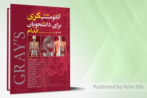 آناتومی گری برای دانشجویان ۲۰۲۴ – جلد دوم (اندام)