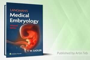 Medical Embryology Langman – 2024